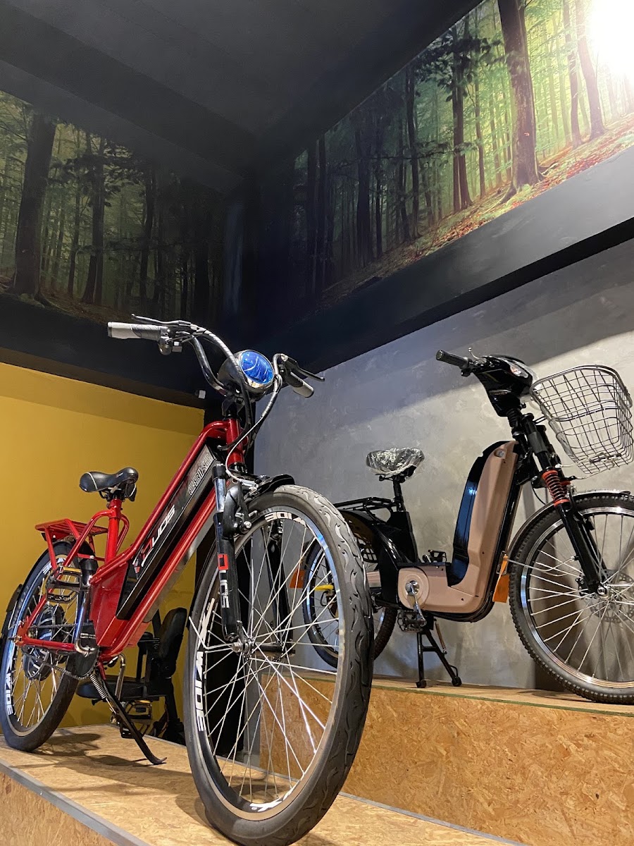 DK Bicicleta Elétrica - Venda e Assistência Técnica (Bangu), foto 2